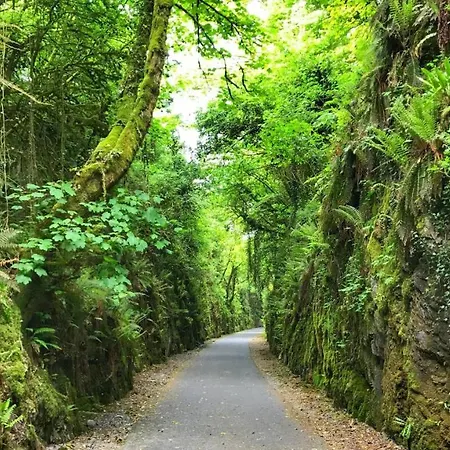 Hostel Dungarvan And